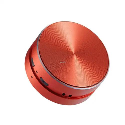 Mini Portable Speaker
